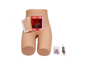 ZMJY/H-0023 Enema and Assisted Defecation Training Model