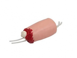 ZMJY/H-0028 Hemostasis Model of Lower Limb Trauma and Amputation