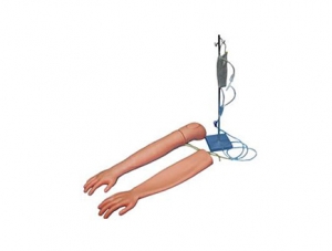 ZMJY/H-1003 venipuncture and intramuscular injection training arm