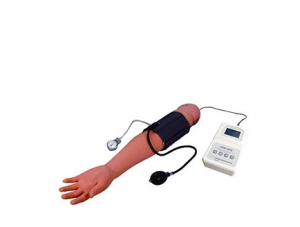 ZMJY/H-1012 blood pressure measurement training arm