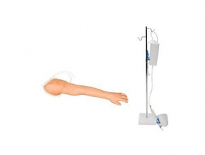 ZMJY/H-1015 Complete venipuncture arm model