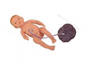 JY/H-402 Neonatal umbilical cord placenta nursing model