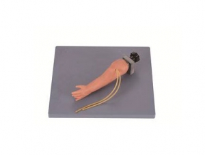 ZMJY/H-3034 Baby venipuncture arm