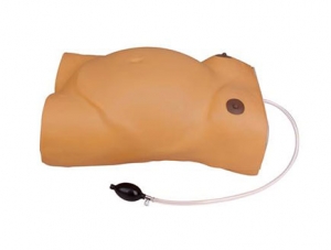 ZMJY/F-0007L Computer Pregnant Woman Examination Model (No Fetal Heart Sound)