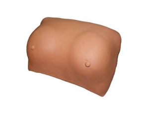 ZMJY/F-0018 Breast Examination Model