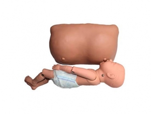 ZMJY/F-0018U Breastfeeding training teaching model