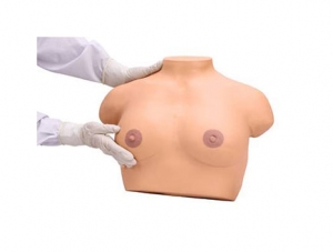 ZMJY/F-0019 Breast Inspection and Palpation Model