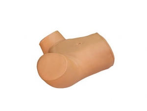 ZMJY/F-0052 Four-step palpation, rectal examination, vaginal examination training model