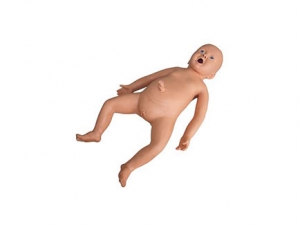 ZMJY/FT001 Baby Nursing Model