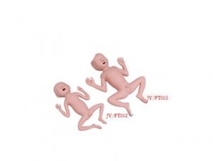 ZMJY/FT002 24 weeks premature infant model