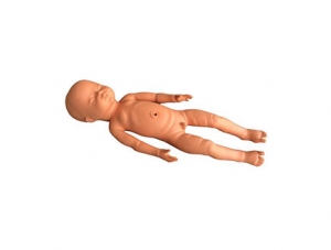 ZMJY/FT004 Term Fetus Model