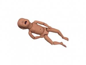 ZMJY/FT005 Neonatal model (flexible limbs)