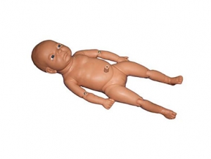 ZMJY/FT006 Birth Baby with Umbilical Cord Model