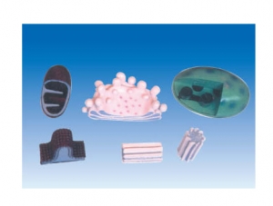 ZM6009 Organelle Amplification