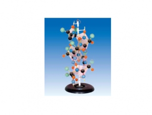 ZM6013 Protein Demonstration Model