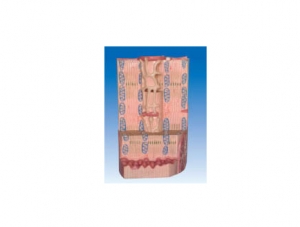 ZM6032 Myocardial ultrastructure