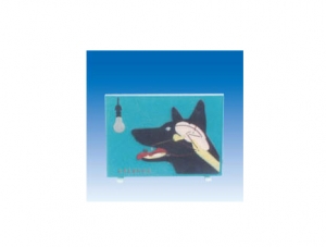 ZM6042 Pavlovian Conditioned Reflex Demonstrator