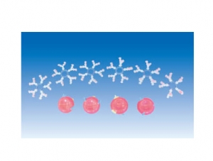 ZM6043A. b. O blood group demo board