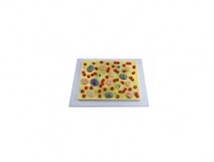 ZM5043-1-Blood cells
