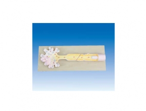 ZM6045 Neuron Model