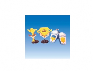 ZM6051 Pharyngeal pouch derivatives