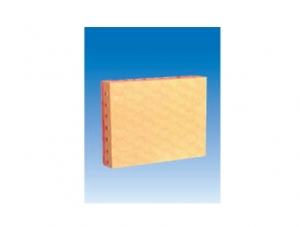ZM6054 Monolayer cubic epithelial tissue