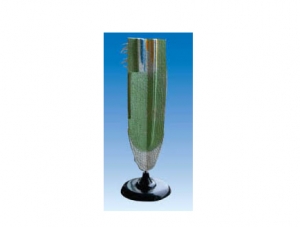 ZM7002 root longitudinal section model