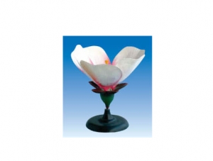 ZM7007 Peach Blossom Model