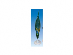 ZM7008 Wheat flower model