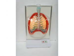 ZM8009-1 Smoking is harmful to human body