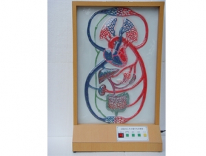 ZM8018 Size Cycle Electric Model