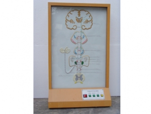 ZM8023 Balance Sense Conduction Electric Model