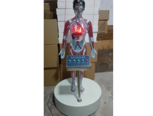 世界各地ZM8029-1 Microcomputer electric model of drug smoking blood circulation