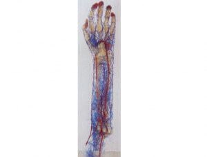 Cast Specimen Series 2