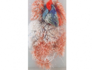 Cast Specimen Series 7