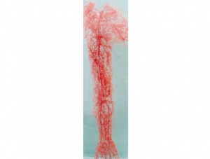 Cast Specimen Series 10
