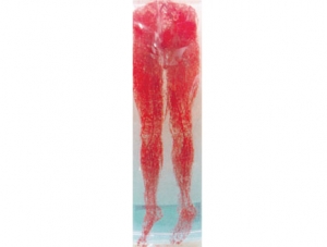 Cast Specimen Series 15