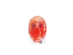 Cast Specimen Series 16