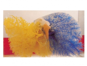 Cast Specimen Series 17