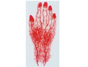 Cast Specimen Series 20
