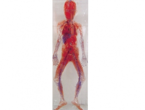 Cast Specimen Series 34