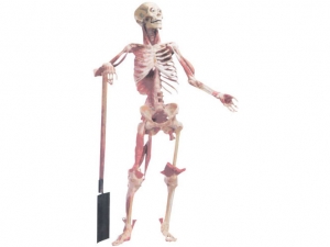 Plasticized Specimen Series 7