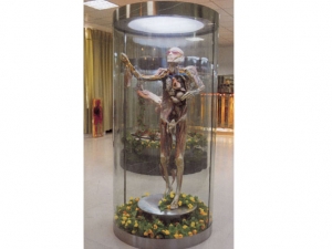 Plasticized Specimen Series 8