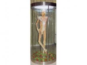 Plasticized Specimen Series 9
