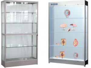 Stainless Steel Specimen Display Cabinet