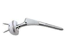 Total hip with nail metal cap (new type) 1179