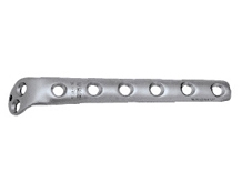 Eagle hook plate (left and right) 1069