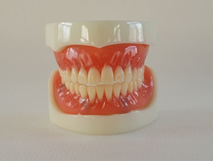 ZM-DSC01866_T12 Complete Denture Model