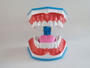 ZM-DSC02052_N14 blue tooth brushing model