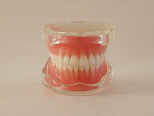 ZM-DSC02060_A15 Detachable standard mold